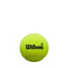 TUBE DE 3 BALLES WILSON PREMIER PADEL