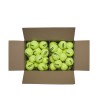 CARTON DE 72 BALLES TRINITI CLUB